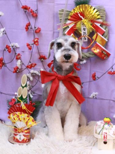 20230121りくくん